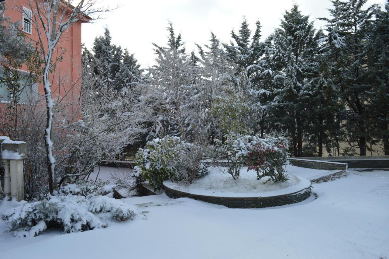 La Torre-1984 Bed & Breakfast Sarnelli Luaran gambar